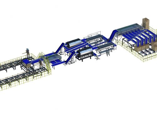 Onion processing line double A3 series (1)