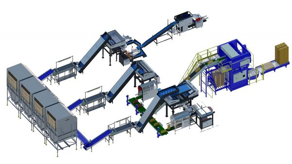 onion packaging line feature image