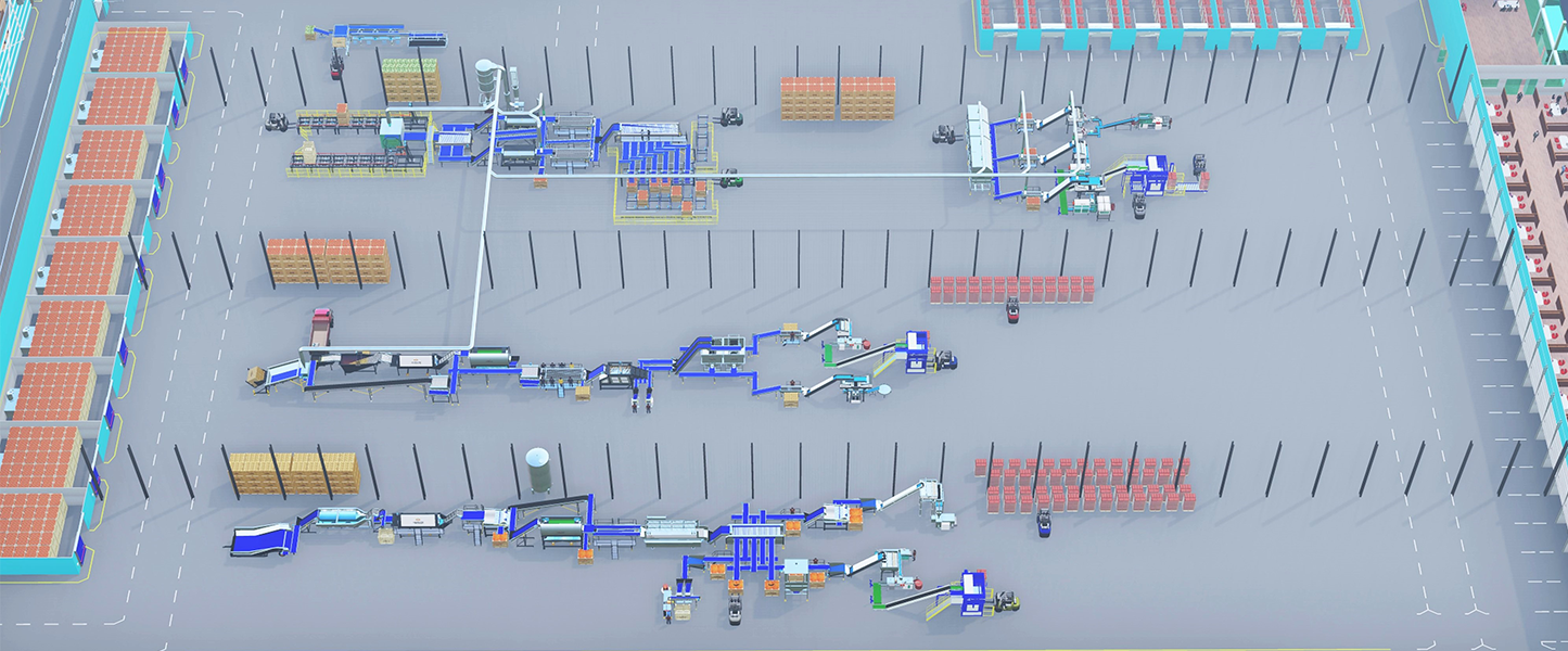 processing area of a multi product distribution centre