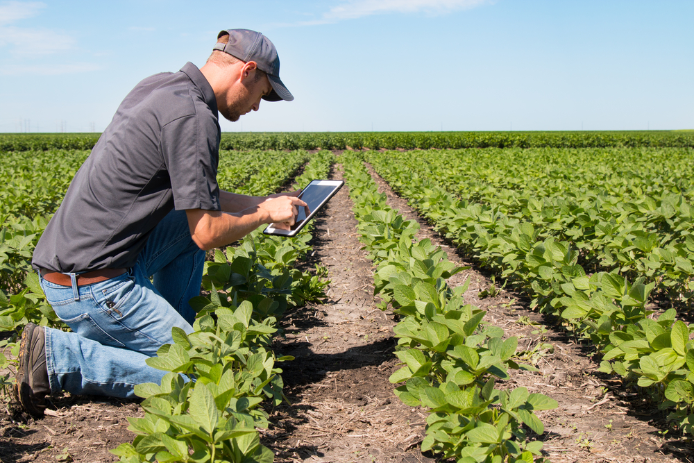 Supply farming looks at his data