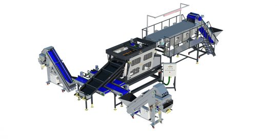 inspection and grading of vegetable