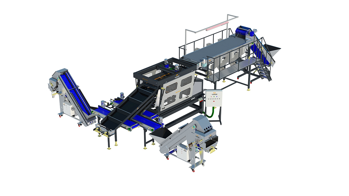 sg-80-feature-img inspection and grading of vegetable