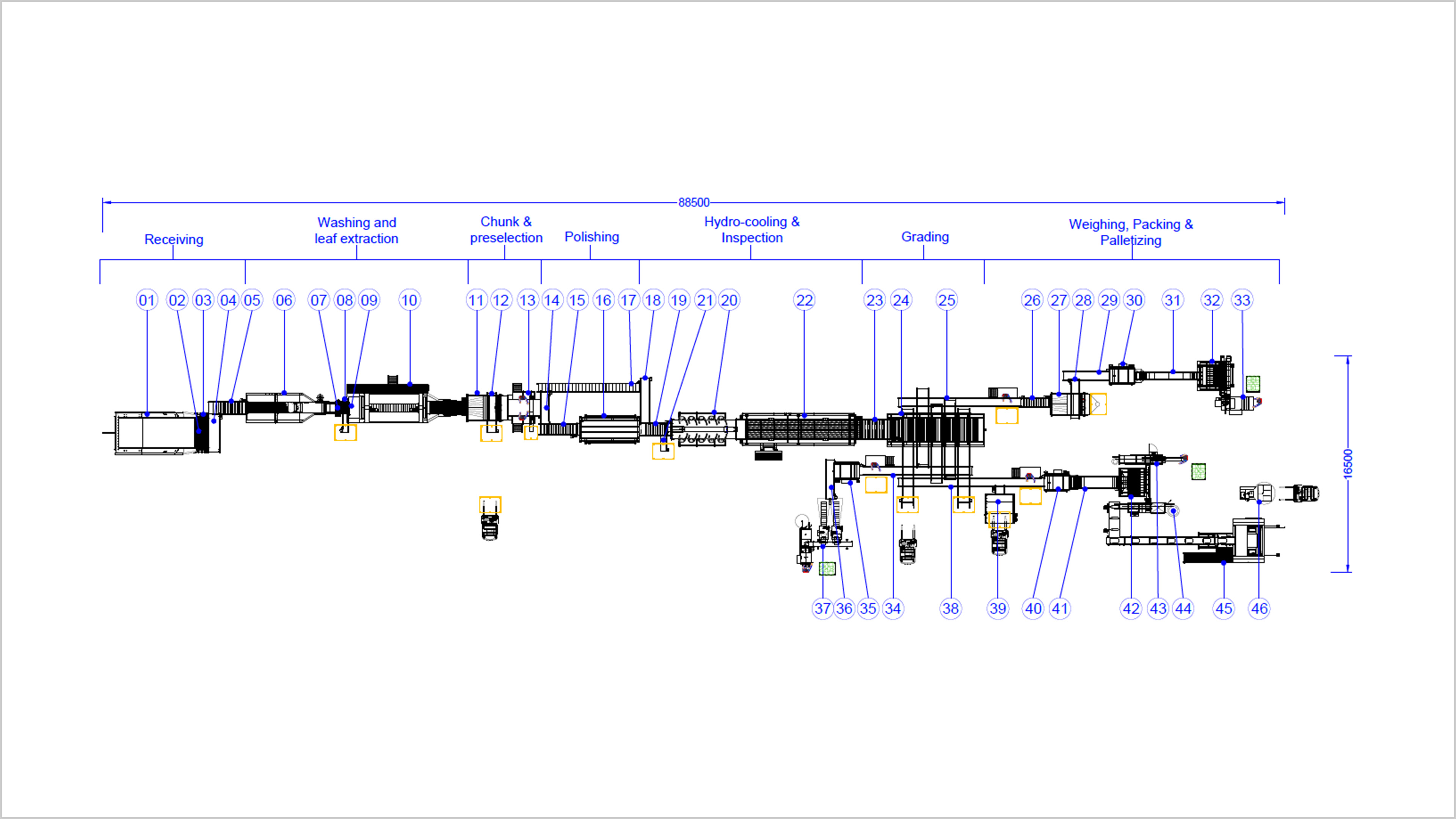 carrot processing line 500 series