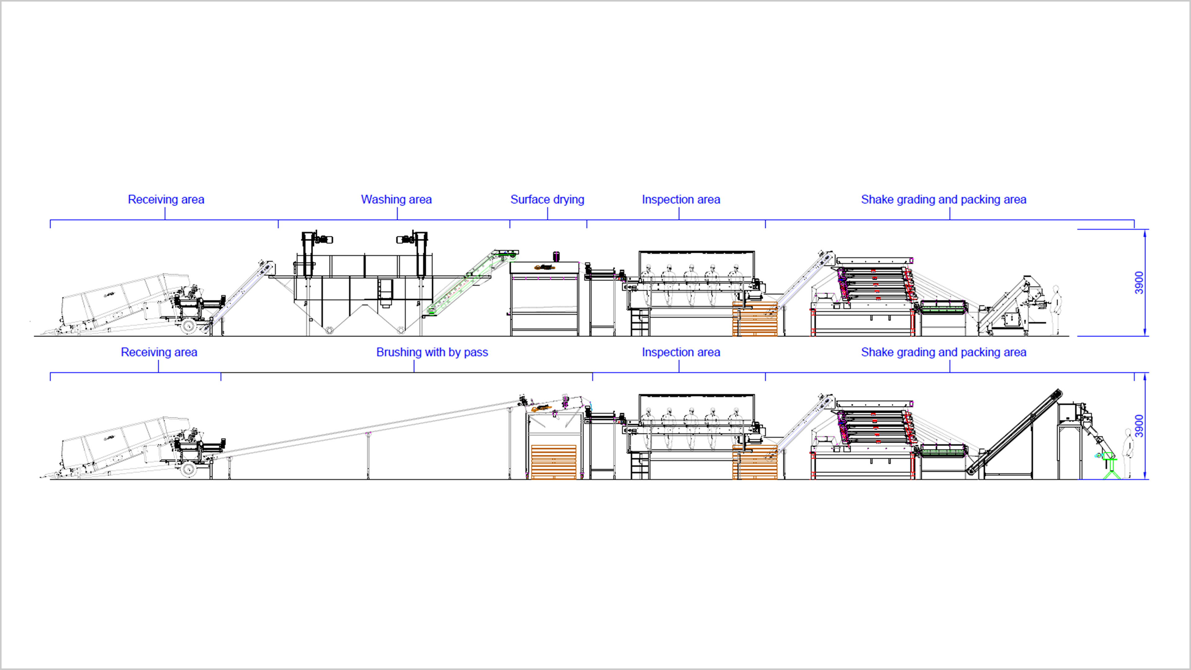 potato-brushing-and-grading-line-2D-side