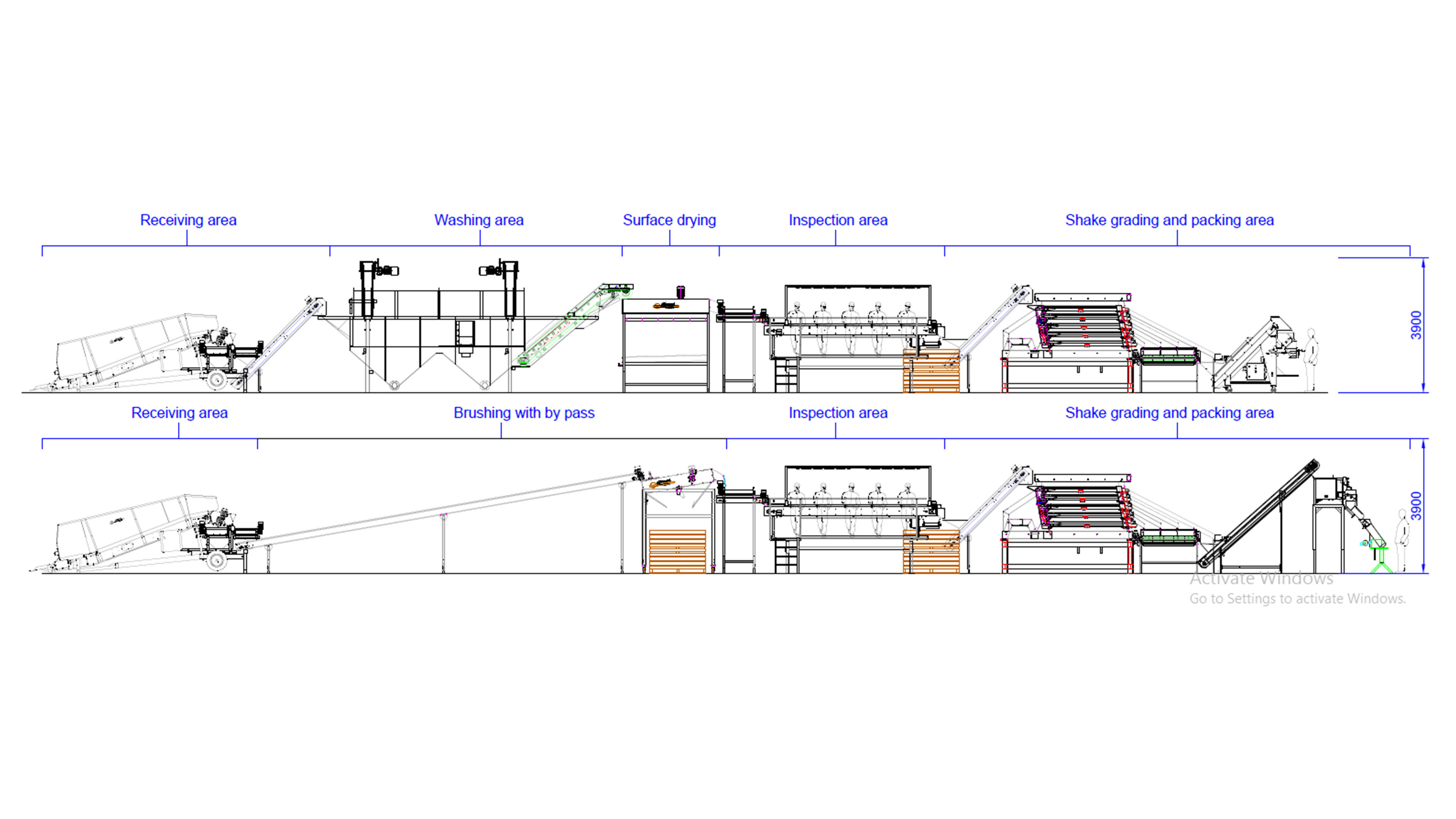 potato brushing and grading line