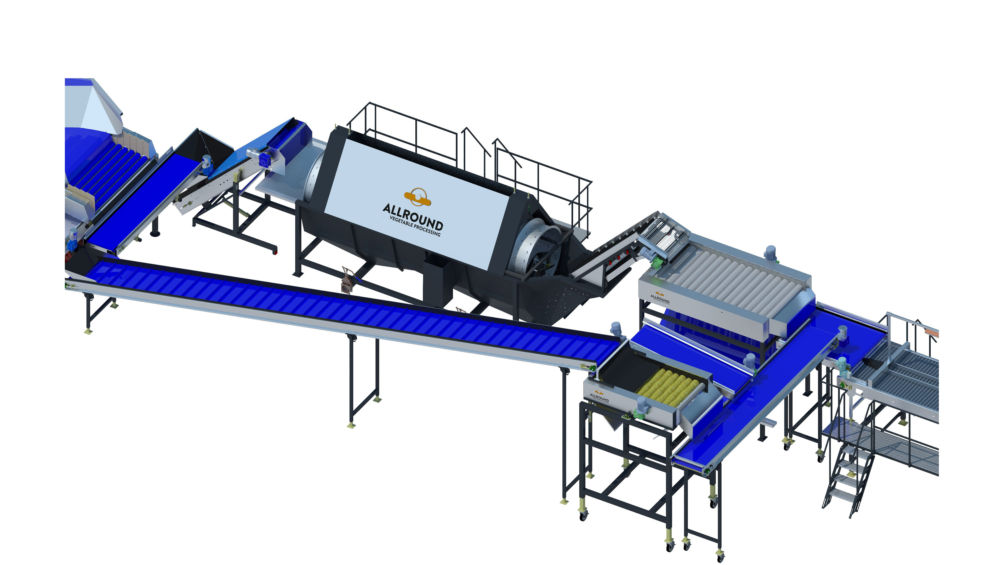 potato brushing and grading line