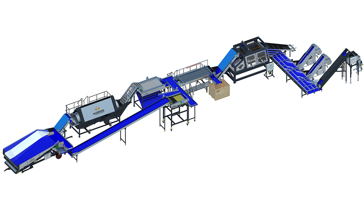 new potato brushing and grading line feature