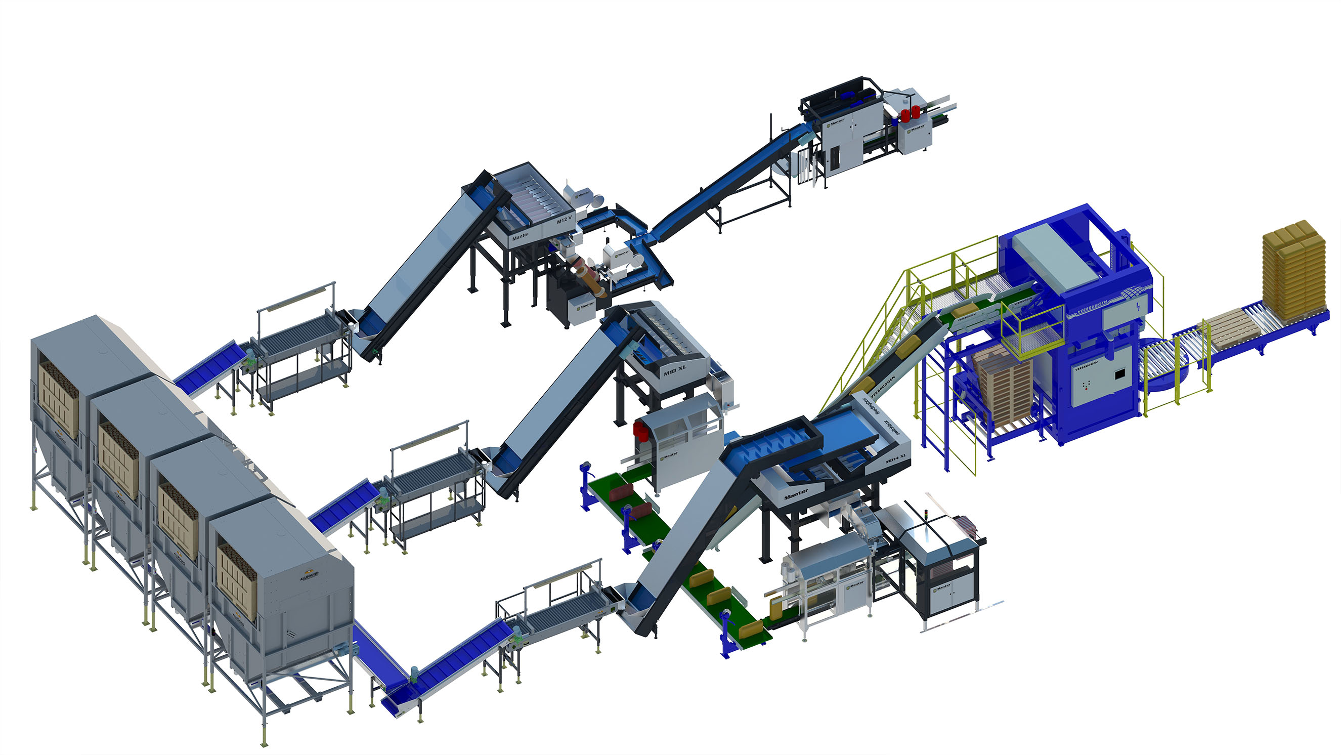 onion packaging line