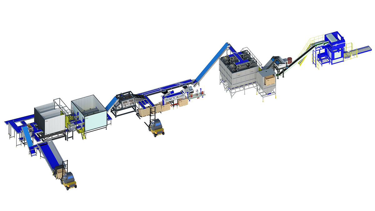 onion processing line a3 2 feature image