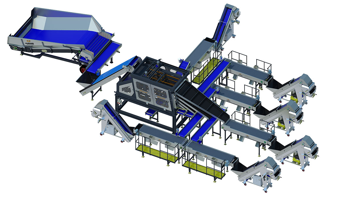 seed potato line feature image