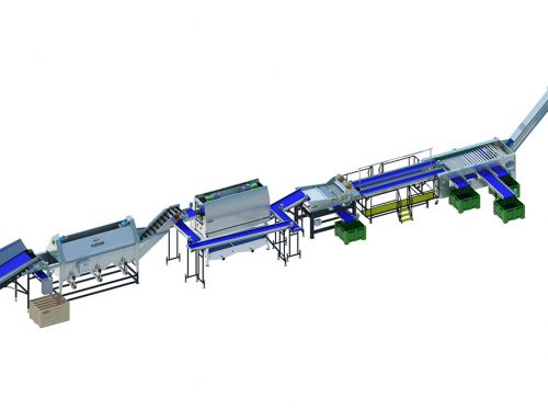 Carrot processing line 450 series (3)