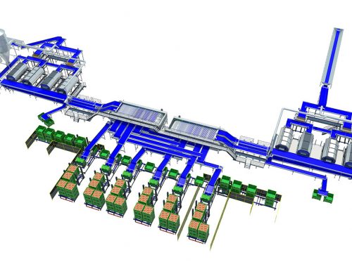 Onion processing line A3 series